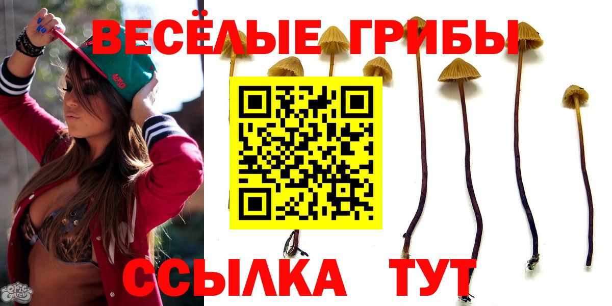 Кудымкар  где купить   Галлюциногенные грибы мицелий  Вход с VPN  Галлюциногенные грибы Cubensis 